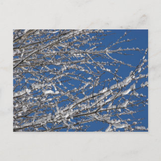 Cartão Postal Agradeça a nosso ~ 14 dos membros do serviço