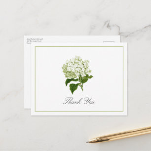 Cartão Postal Agradecimento Tradicional de Flor de Hortênsia Ver