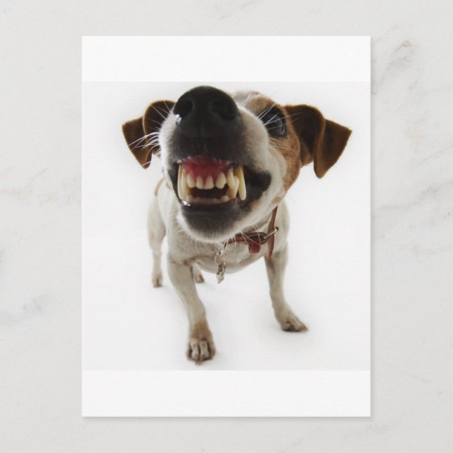 Cartão Postal agressivo (Frente)