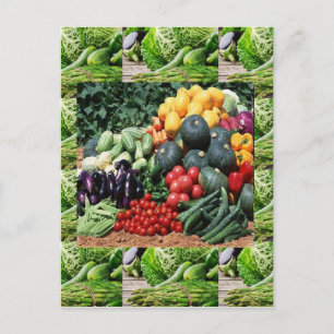 Cartão Postal Agricultores comercializam veggie delight chefs cu