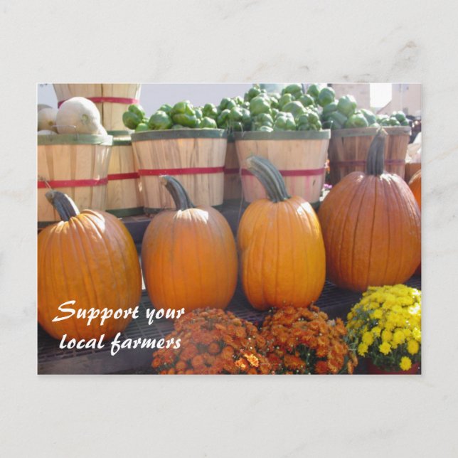 Cartão Postal Agricultores locais (Frente)