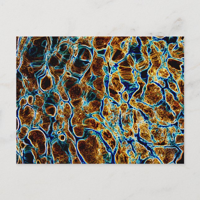 CARTÃO POSTAL ÁGUA (Frente)