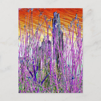 CARTÃO POSTAL ÁGUA