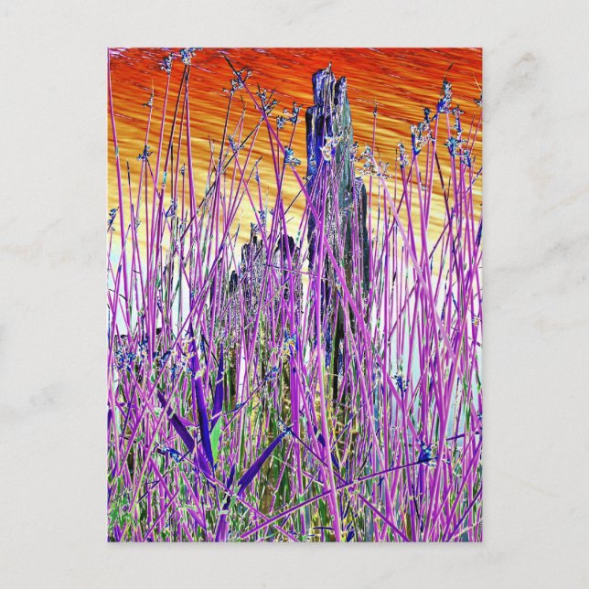 CARTÃO POSTAL ÁGUA (Frente)