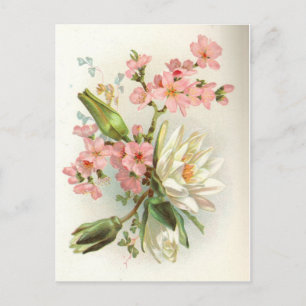 Cartão Postal água