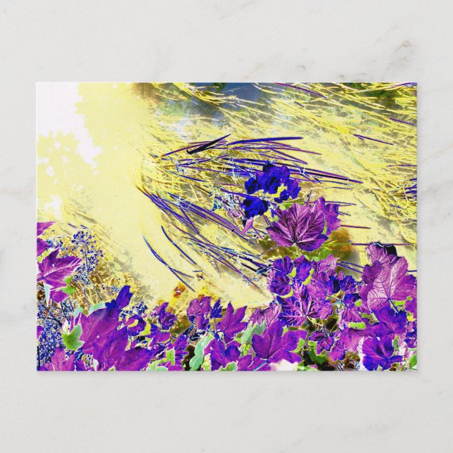 CARTÃO POSTAL ÁGUA (Frente)