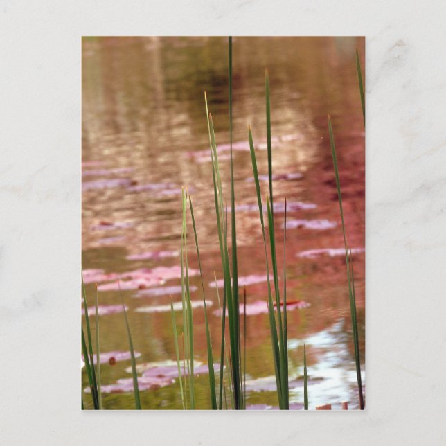 Cartão Postal Água Através De Leeds (Frente)