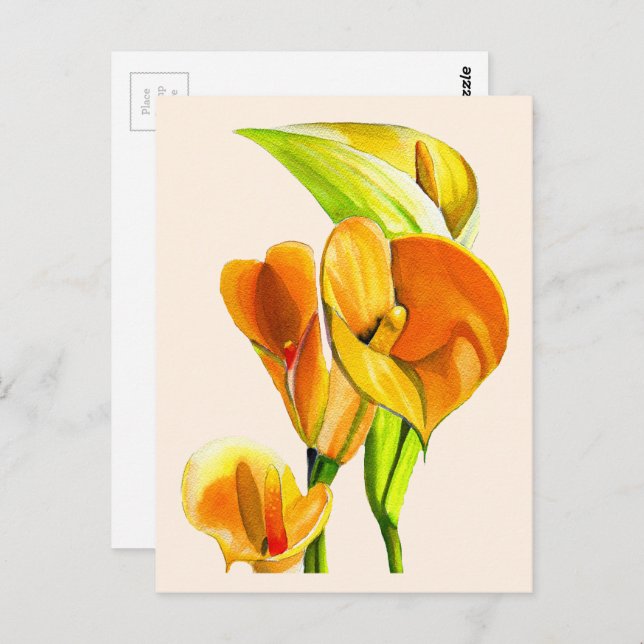 Cartão Postal Água de flor de lírio calla aquarela floral (Frente/Verso)