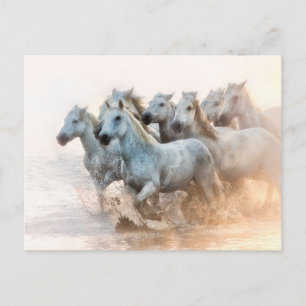 Cartão Postal Água do Mediterrâneo em Sunrise