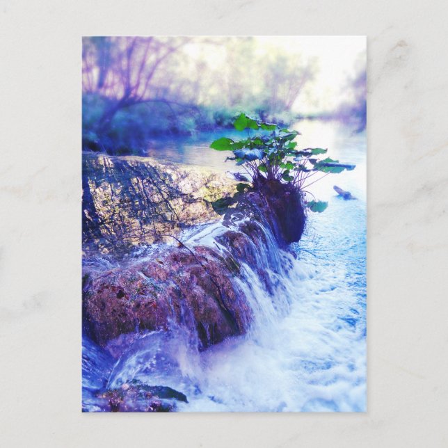 Cartão Postal água encharcada (Frente)