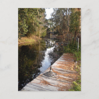 Cartão Postal Água negra da Flórida