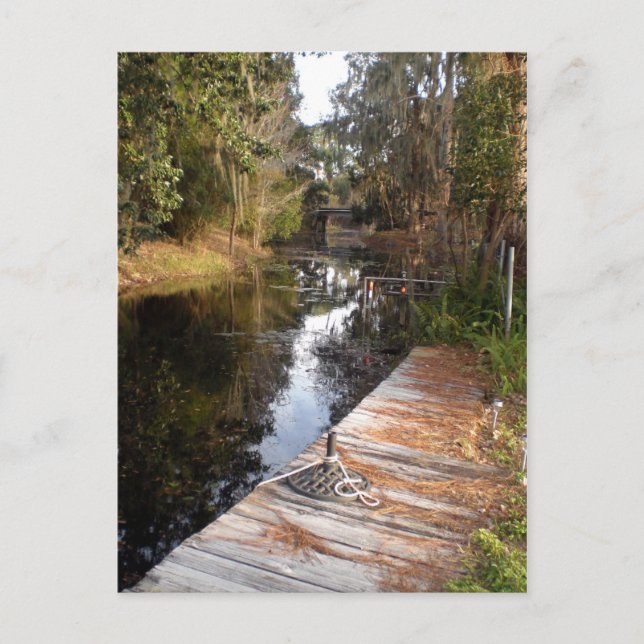 Cartão Postal Água negra da Flórida (Frente)