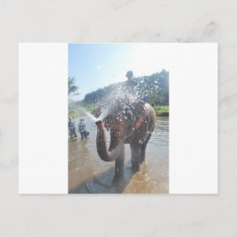 Cartão Postal Água pulverizadora de elefante