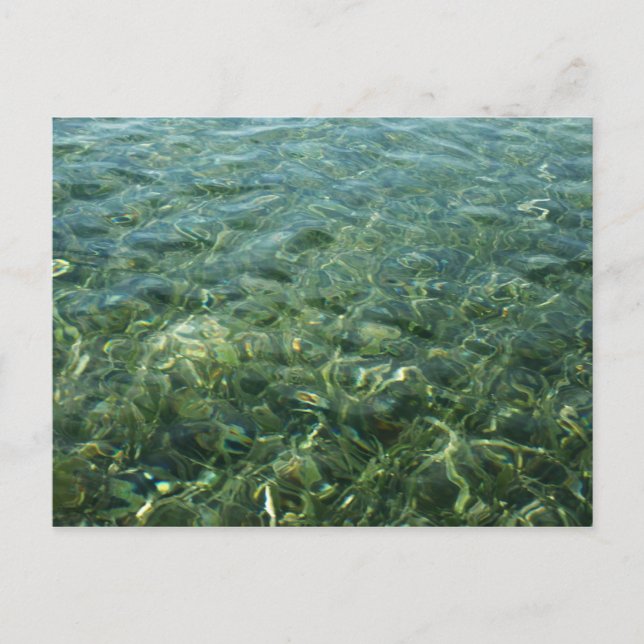 Cartão Postal Água sobre a Grama do Mar Eu Caribe Natureza (Frente)
