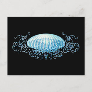Cartão Postal Água-viva Haeckel Personalizável
