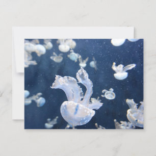 Cartão Postal Água-viva no oceano
