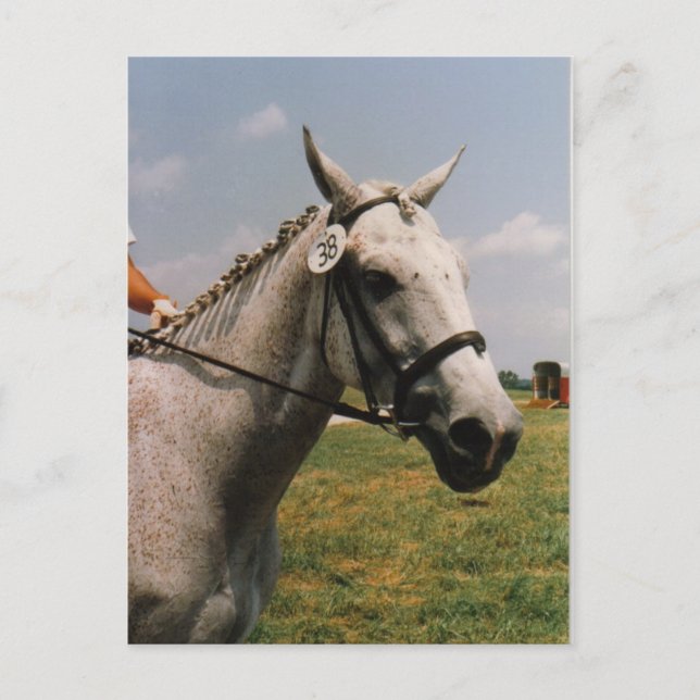 Cartão Postal Aguardando para se Apresentar - Personalizado (Frente)