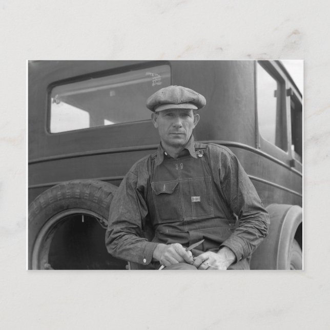 Cartão Postal Aguardando para selecionar laranjas (Frente)