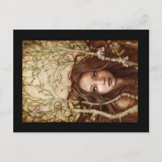 Cartão Postal Aguardando Primavera