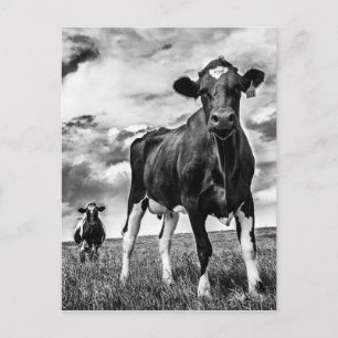 Cartão Postal Aguardando Recorte BW