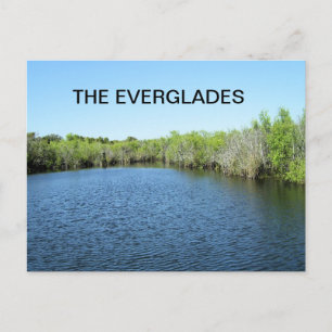 CARTÃO POSTAL ÁGUAS DOS EVERGLADES