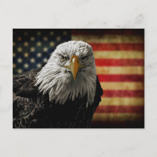 Cartão Postal Águia Americana Careca na Bandeira Grunge