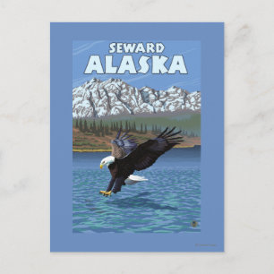 Cartão Postal Águia Americana Mergulhando - Seward, Alasca