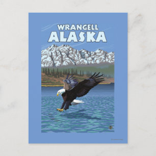 Cartão Postal Águia Americana Mergulhando - Wrangell, Alasca
