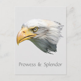 Cartão Postal Águia Americana Personalizável Proeza e Esplendor