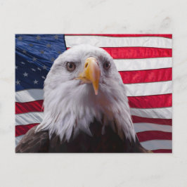 Cartão Postal Águia Bald Americana e Bandeira Americana