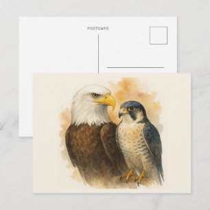 Cartão Postal Águia Balda e Arte Peregrina Falcão Selvagem