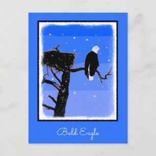 Cartão Postal Águia Balda no inverno - Arte original sobre a vi