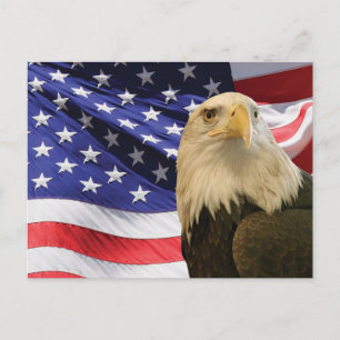 Cartão Postal Águia Careca Americana e Bandeira
