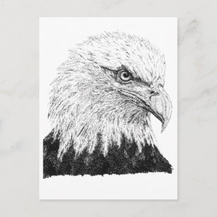 Cartão Postal Águia-careca Arte Patriótica EUA Preto Branco Pont