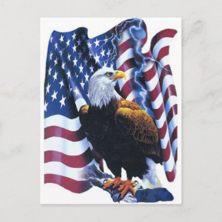 Cartão Postal Águia com bandeira americana
