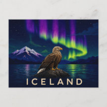 Águia-de-cauda-branca sob a Aurora | Islândia Icôn