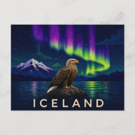 Cartão Postal Águia-de-cauda-branca sob a Aurora | Islândia Icôn