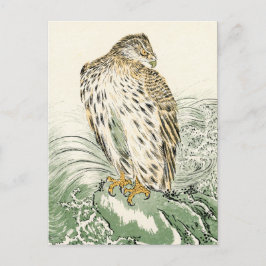 Cartão Postal Águia do Mar Japonês - Osprey