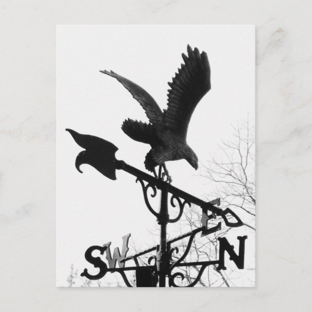 Cartão Postal Águia e Seta (Frente)