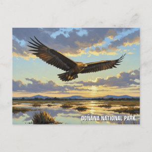 Cartão Postal Águia Imperial espanhola no Parque Nacional de Don