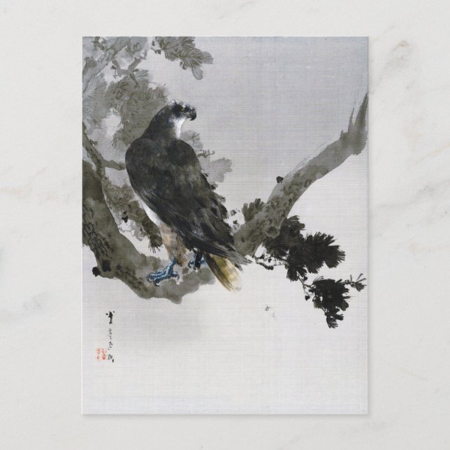 Cartão Postal Águia na ramificação da árvore do pinheiro, Watana (Frente)