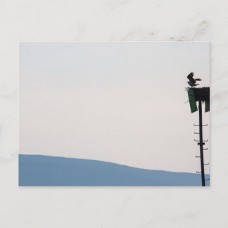 Cartão Postal Águia-pescadora em frente à Ilha Mount Desert, Mai