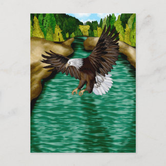 Cartão Postal Águia voando sobre o rio nas montanhas
