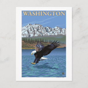 Cartão Postal Águia WashingtonDiving