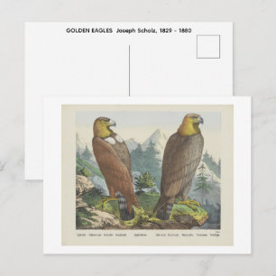 Cartão Postal ÁGUIAS DOURADAS Joseph Scholz, 1829 - 1880  