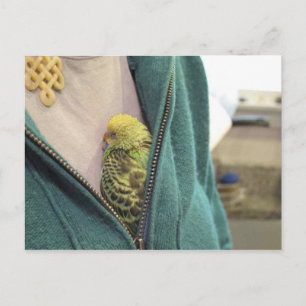 Cartão Postal Ah, Tão Bonita!!!!!!!!