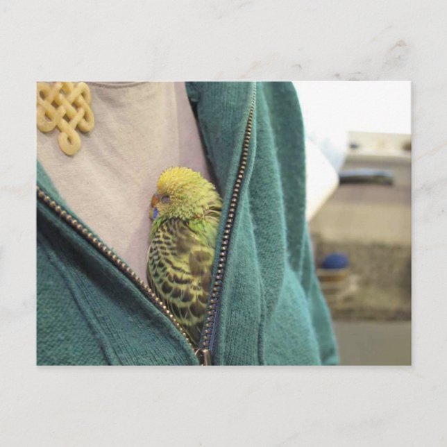 Cartão Postal Ah, Tão Bonita!!!!!!!! (Frente)