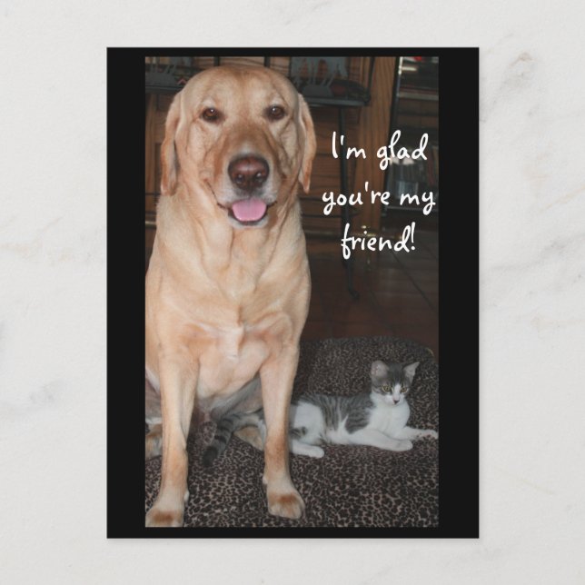 Cartão Postal Ainda bem que és meu amigo! (Frente)