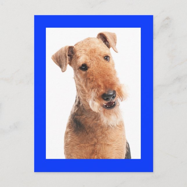 Cartão Postal Airedale Terrier Cachorro Azul (Frente)