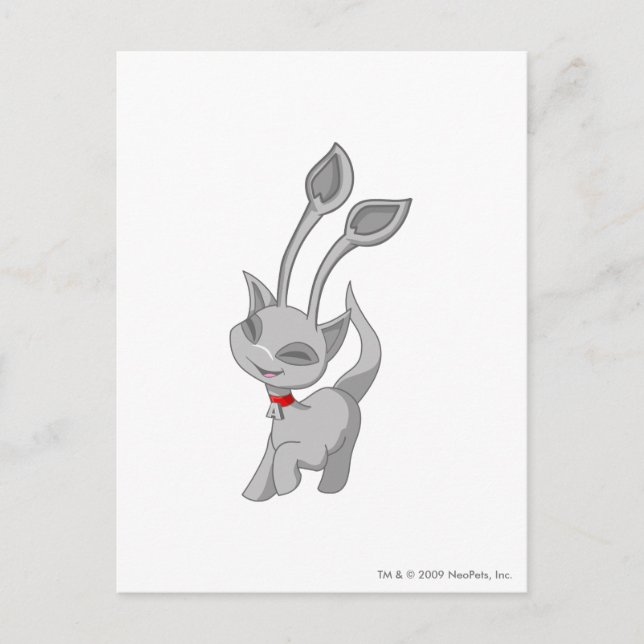 Cartão Postal Aisha Silver (Frente)